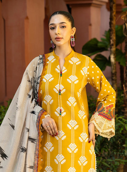 Zainab Chottani | Chikankari 25 | Aanya - 4A