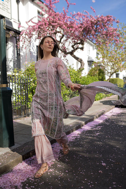 Sobia Nazir | Basics 25 | Design 5A