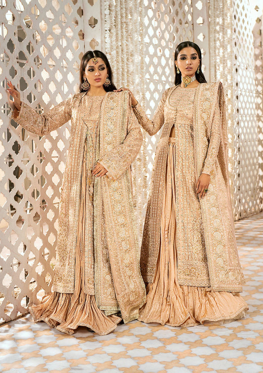 WEDDING FESTIVE '24 VOL. 1 - LOOK 06