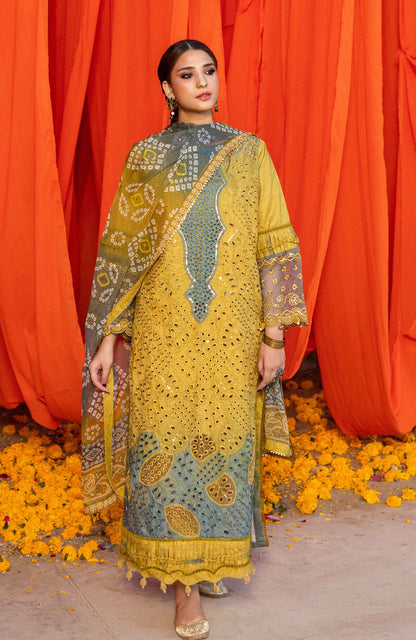 Al Zohaib | Bandhani The Tale of Jaipur 25 | BTJ-25-08