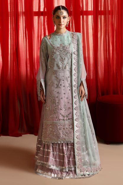 Alizeh | Reena Wedding Formals | AF-HM-4023-AMANI