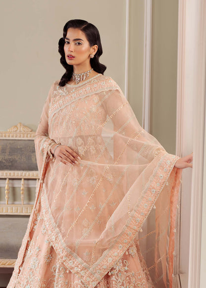 Dastoor | Airah Festive 25 | Cascade