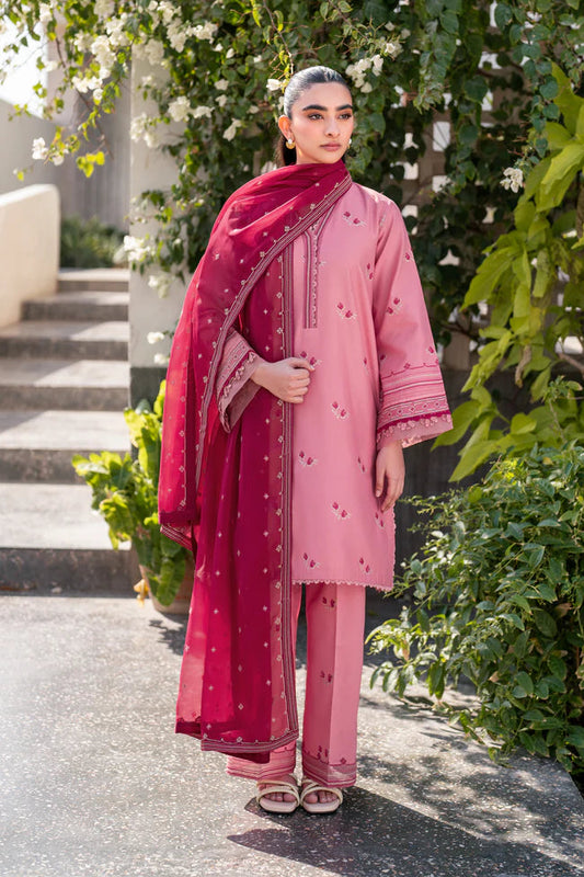 Xenia | Summer Away'25 | COTTON CANDY