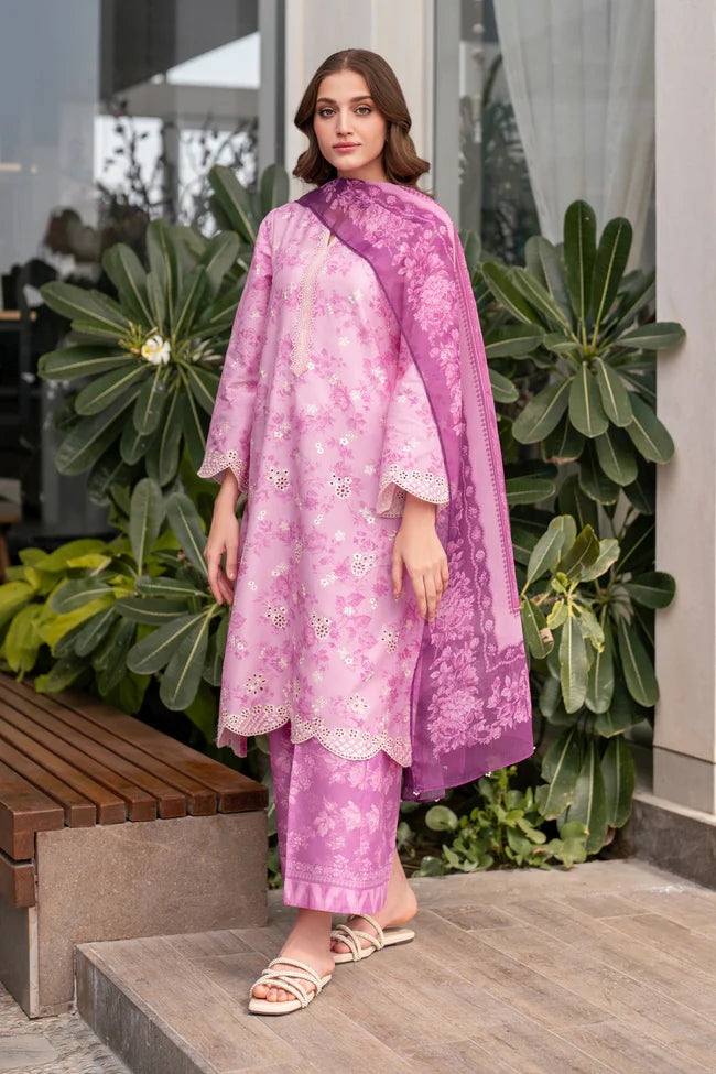 Xenia | Summer Away'25 | SERAFENA