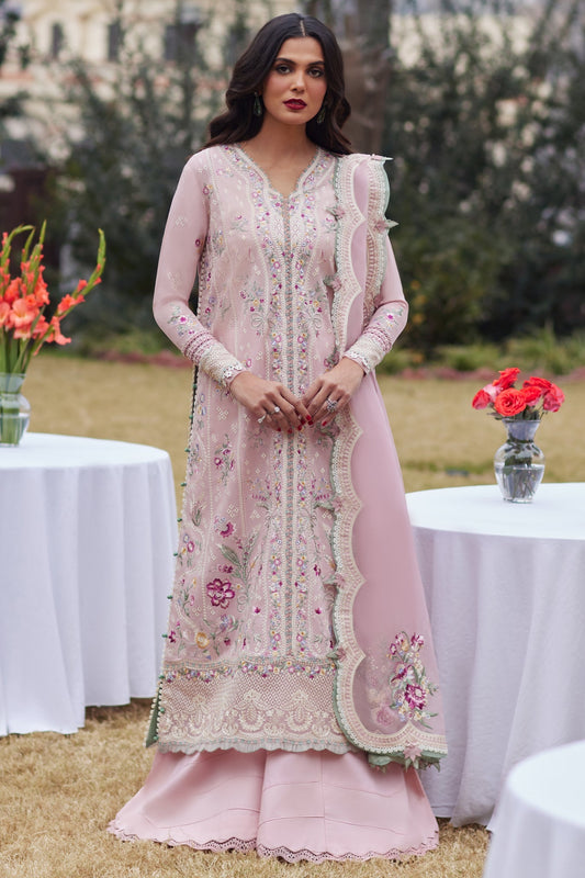 Elan | Lawn’24 | MIRZETA (EL24-11 B)