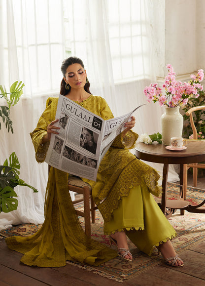 Bin Ilyas | Carnival Summer Edit 25 | Aurelia