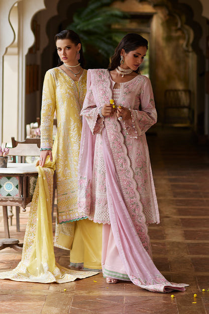 Gulaal | Luxury Lawn 25 | Magnolia