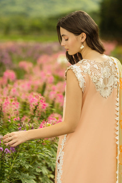 Mushq | Secret Garden Hemline 25 | Moonlit Petals