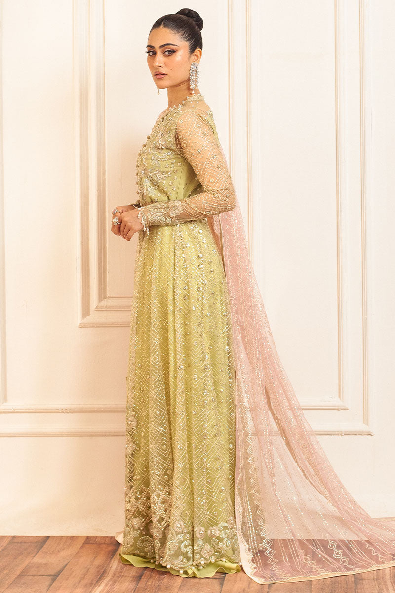 Mushq | Hemline Aura Debut Wedding Formals | WASABI