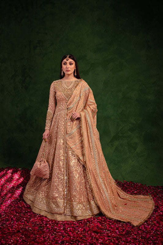 Maria Osama Khan | Salma Sitara |  VASL