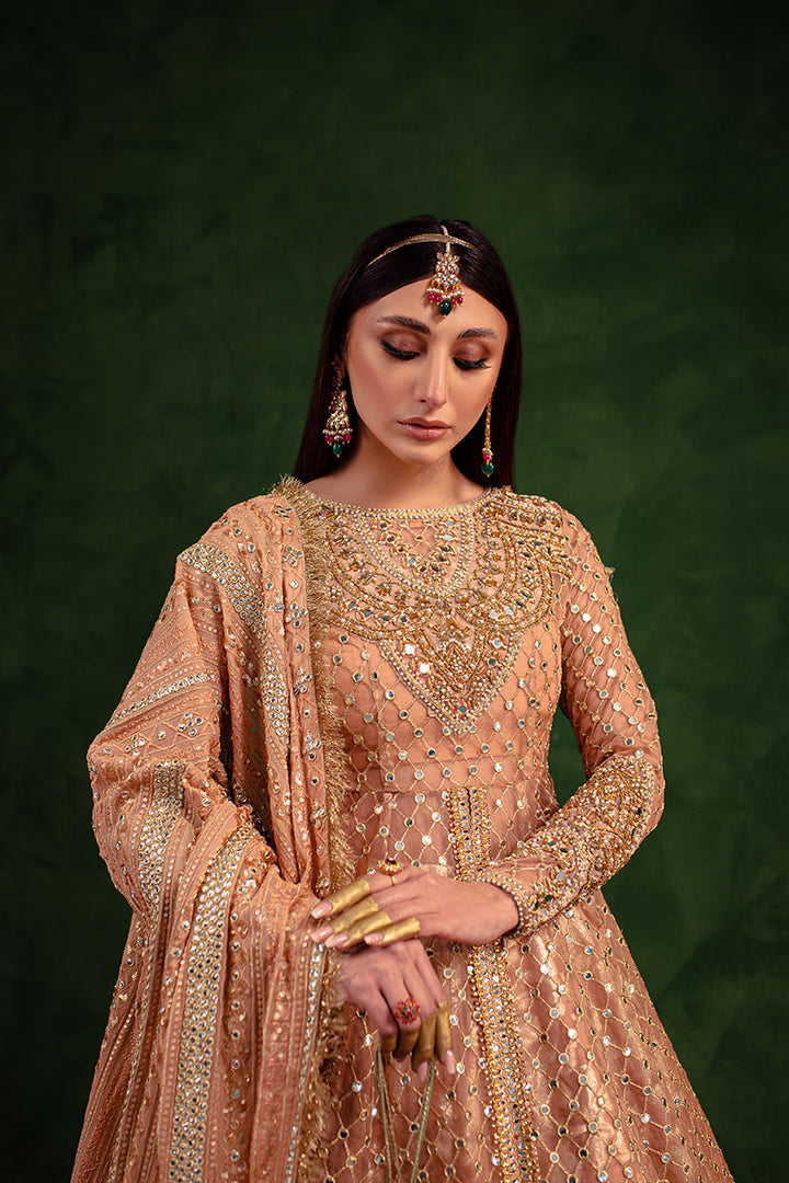 Maria Osama Khan | Salma Sitara |  VASL