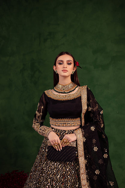 Maria Osama Khan | Salma Sitara | RAQS