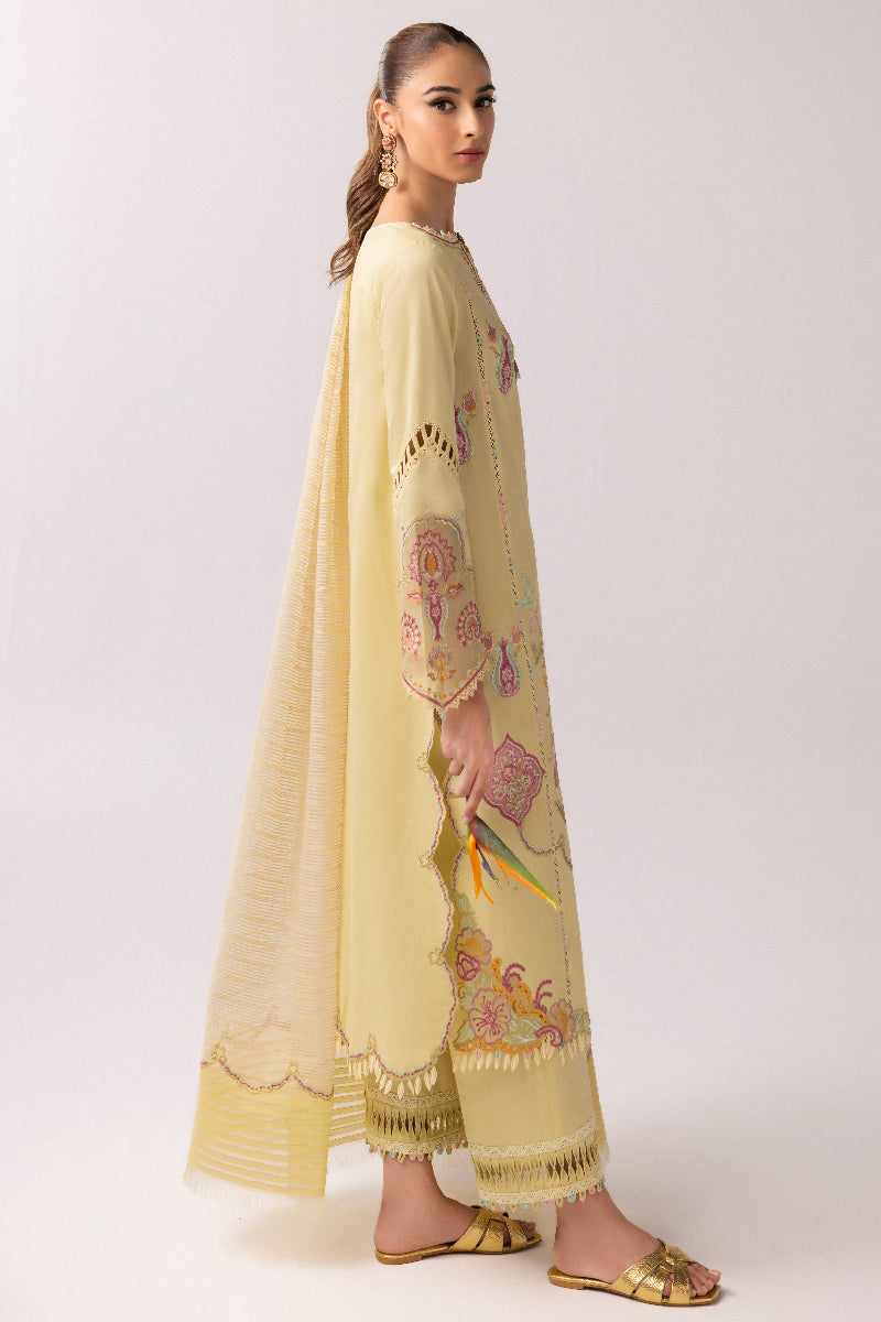 Qalamkar | Basic Pret 25 | KT-08 Afra