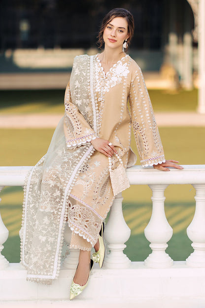 Mushq | La Toscana Casual Pret 24 |DIVINE DESERT