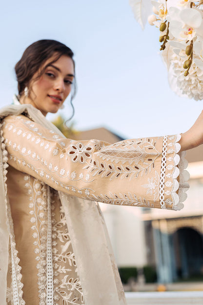 Mushq | La Toscana Casual Pret 24 |DIVINE DESERT