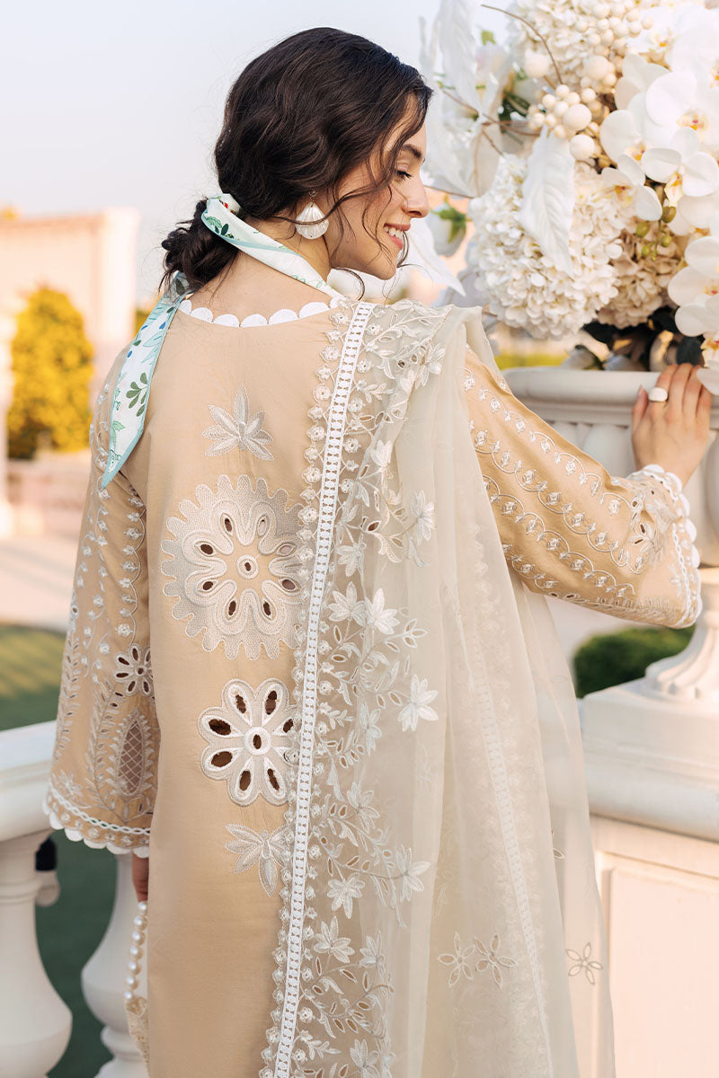 Mushq | La Toscana Casual Pret 24 |DIVINE DESERT