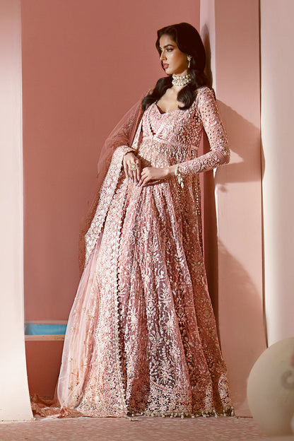 Ayzel Luminara Embroidered Net 3Pc Suit AWF-05 EARL