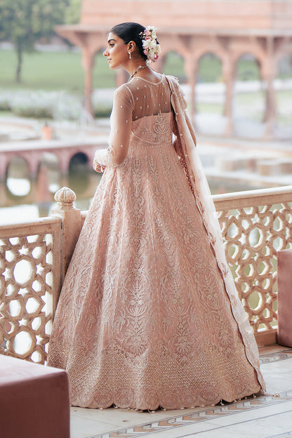 Saad Shaikh | Silsila Festive Collection | Azela
