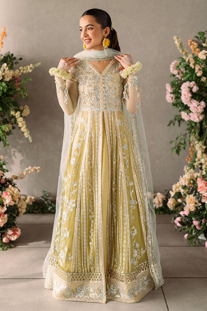 Mushq | Matani Evening Luxury Chiffon | Hira