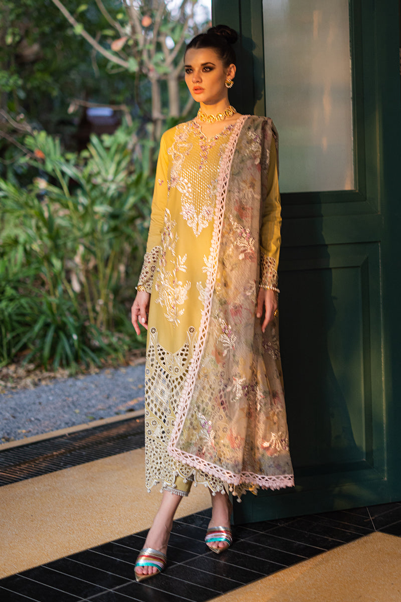 Mushq | Orient Express Luxury Lawn | DELICE