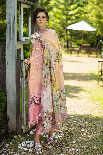 Mushq | Solace Ombre Chikankari | Risate