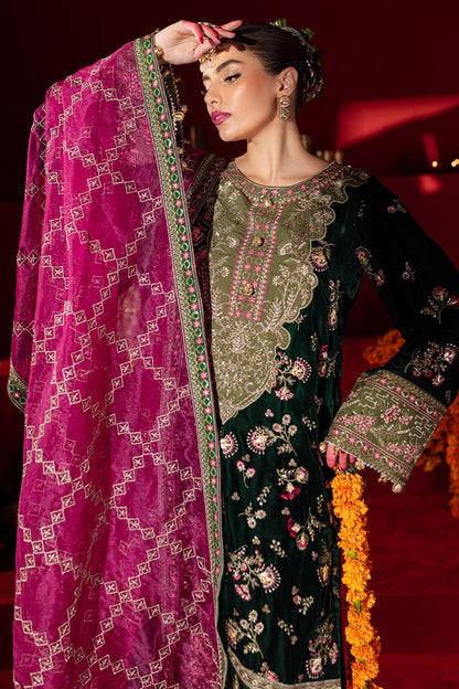 Nureh | Maya Velvet |  NW-88