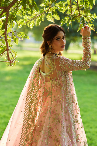 Qalamkar | Shadmani Luxury Formals |  Saira SH-08