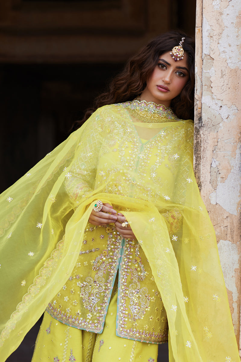 Qalamkar | Shadmani Luxury Formals |  Dania SH-05