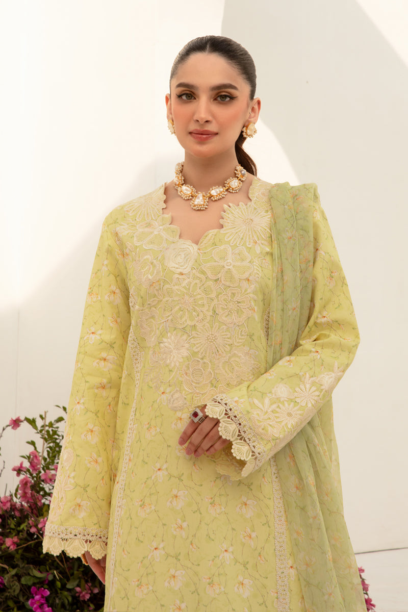 Rangrasiya | Florence Summer Edit 24 | Olivia