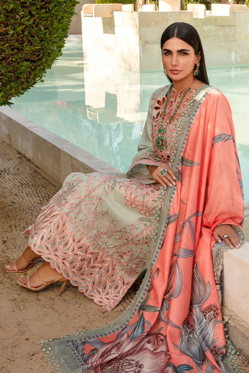 Rangrasiya | Carnation Summer 24 | Orchid
