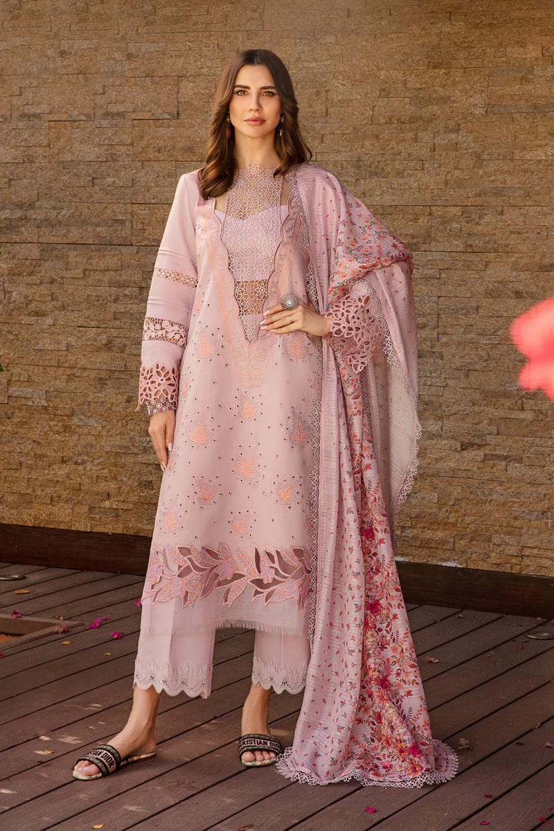 Rangrasiya | Carnation Summer 24 | Zinnia