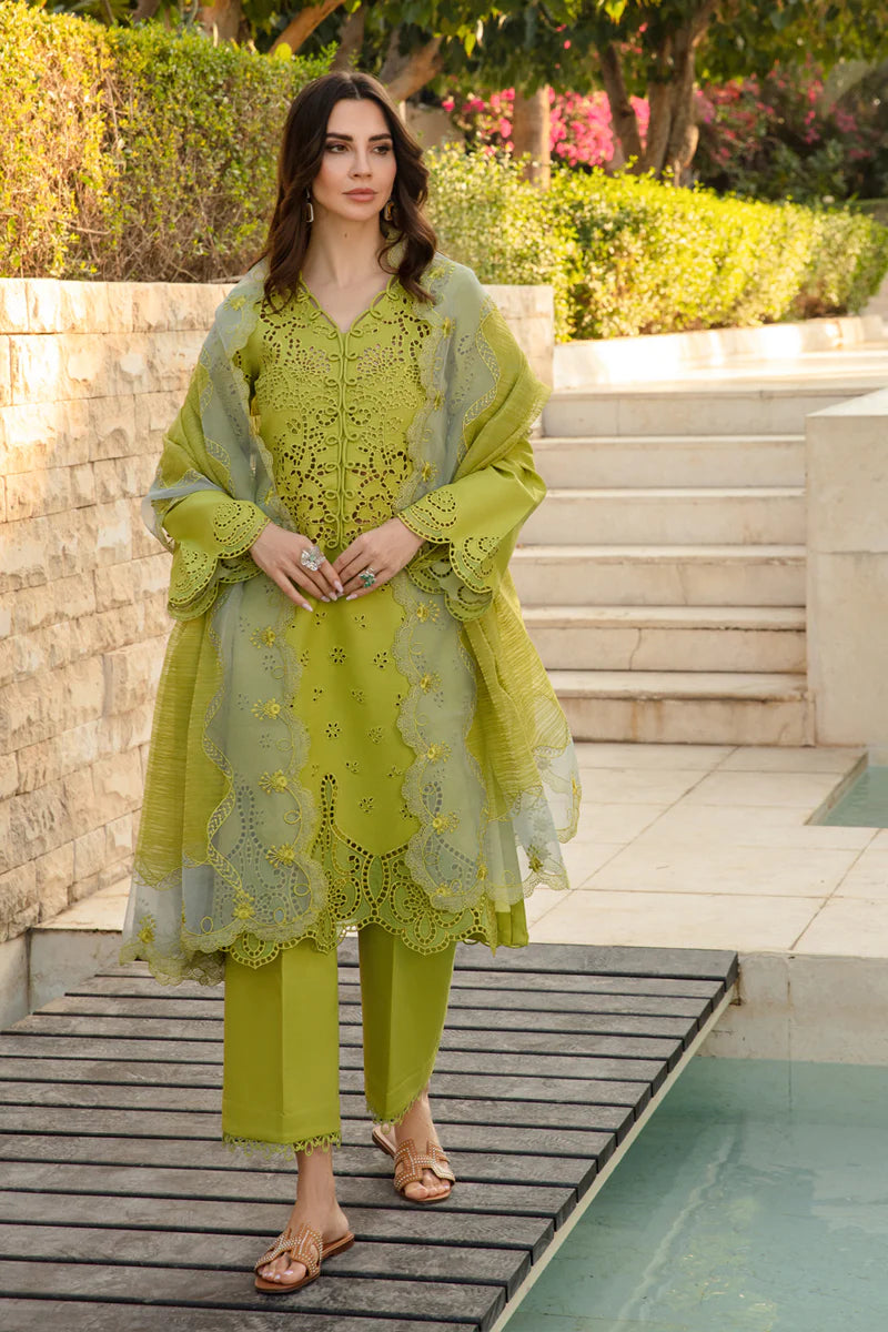 Rangrasiya | Carnation Summer 24 | FAREESIA