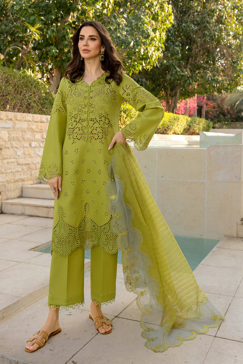 Rangrasiya | Carnation Summer 24 | FAREESIA