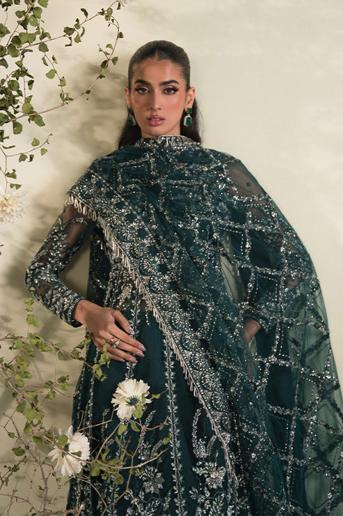 Saffron | Celeste Festive Edit 24 | Mehri