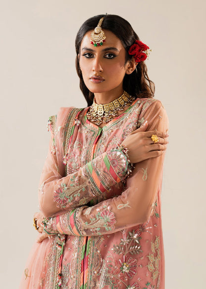 Shurooq | Zara Edit 24 |  Amtul