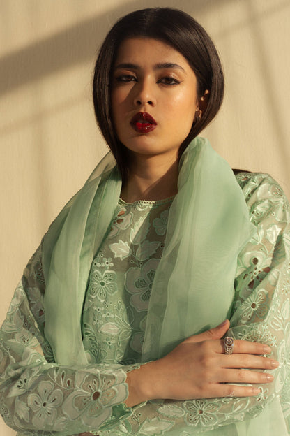 Zara Shahjahan | Fall Festive 24 | ZC-2072