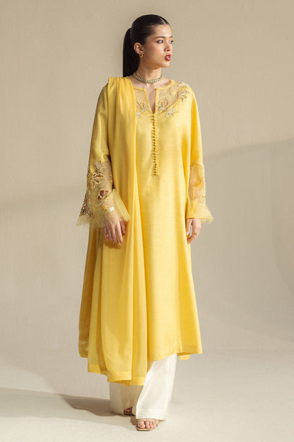 Zara Shahjahan | Fall Festive 24 | ZC-2073