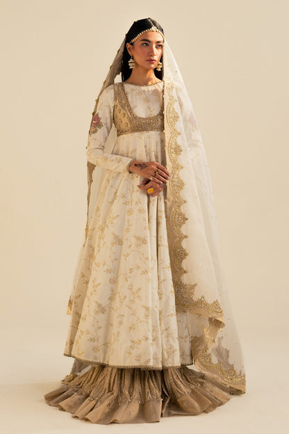 Zara Shahjahan | Wedding Formals 2024 | ZC-3084