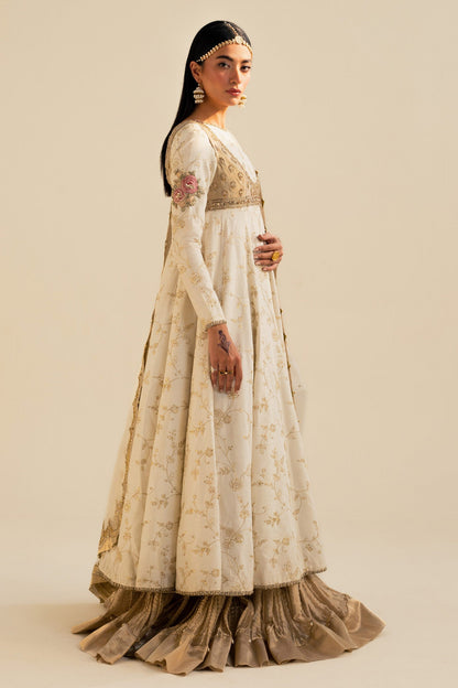 Zara Shahjahan | Wedding Formals 2024 | ZC-3084