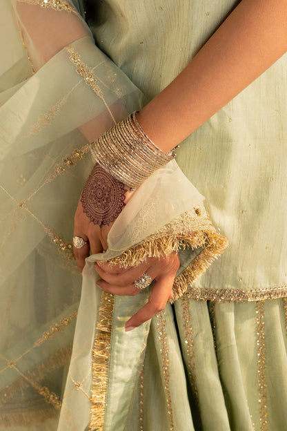 Zara Shahjahan | Wedding Formals 2024 | ZC-3089