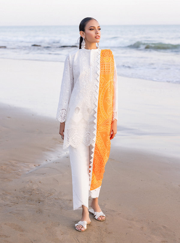 Zainab chottani | Luxury Chikankari 24 | CHUNARI - 3B