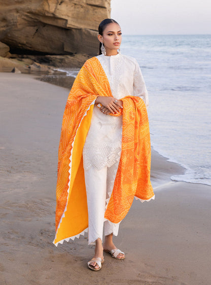 Zainab chottani | Luxury Chikankari 24 | CHUNARI - 3B