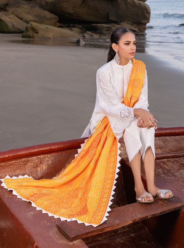 Zainab chottani | Luxury Chikankari 24 | CHUNARI - 3B