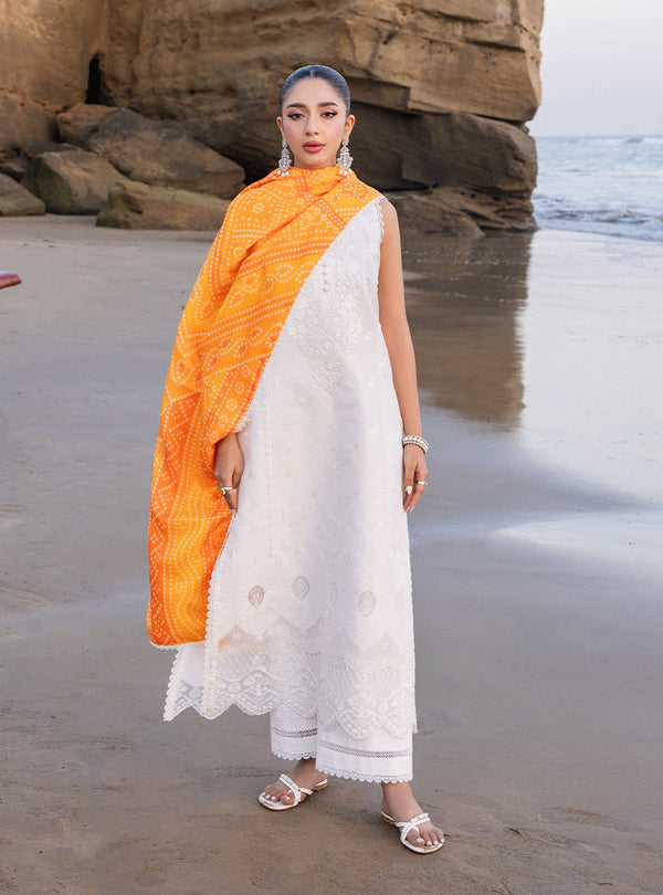 Zainab chottani | Luxury Chikankari 24 | CHUNARI - 3B