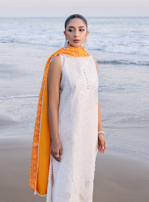 Zainab chottani | Luxury Chikankari 24 | CHUNARI - 3B