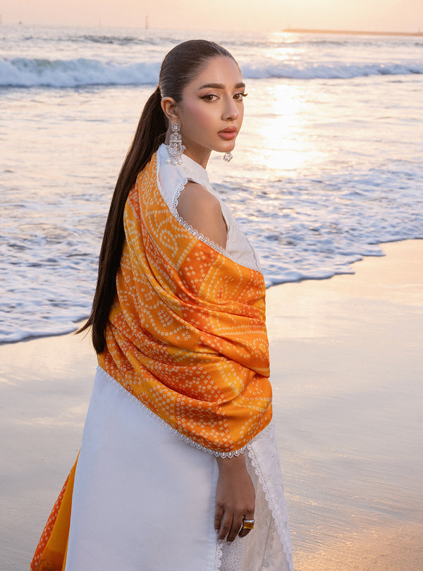 Zainab chottani | Luxury Chikankari 24 | CHUNARI - 3B