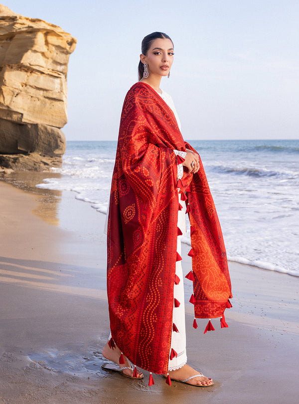 Zainab chottani | Luxury Chikankari 24 | CHUNARI - 3A