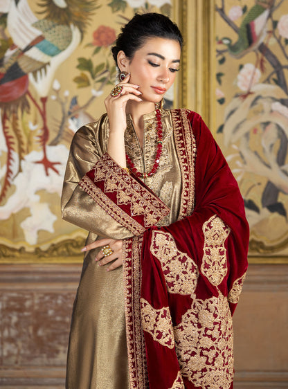 Zainab Chottani | Velvet Formals 24 | Zerlin