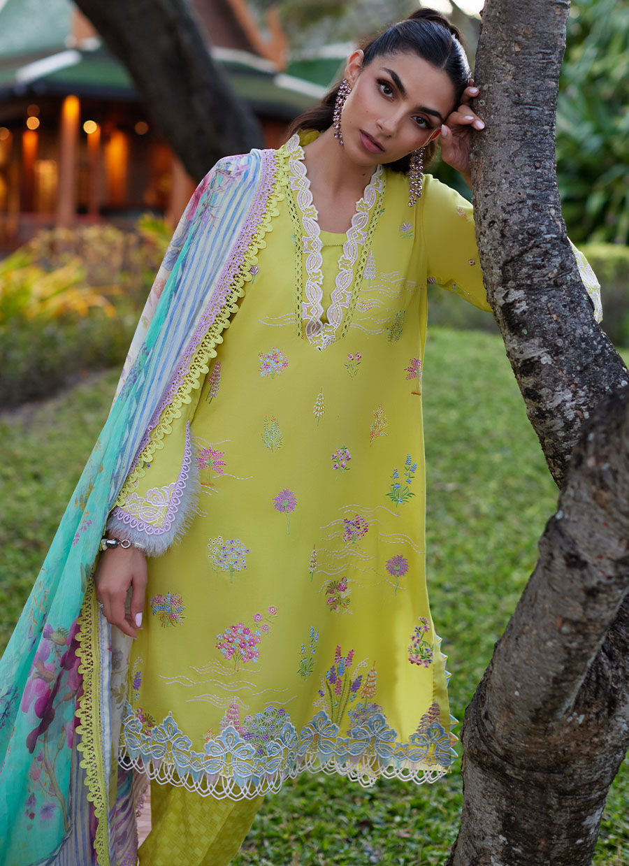 Farah Talib Aziz | Suay Lawn 24 | KELAYA KIWI