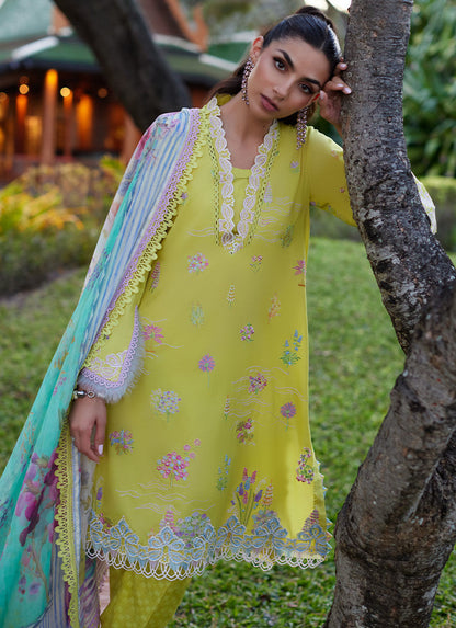 Farah Talib Aziz | Suay Lawn 24 | KELAYA KIWI